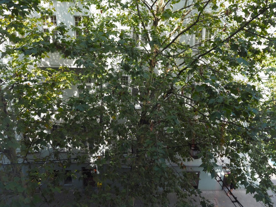 Katowice, Śródmieście, Kościuszki, Apartament for rent