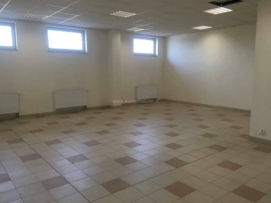 Kraków, Podgórze, Rybitwy, Pułkownika Dąbka, Commercial for rent