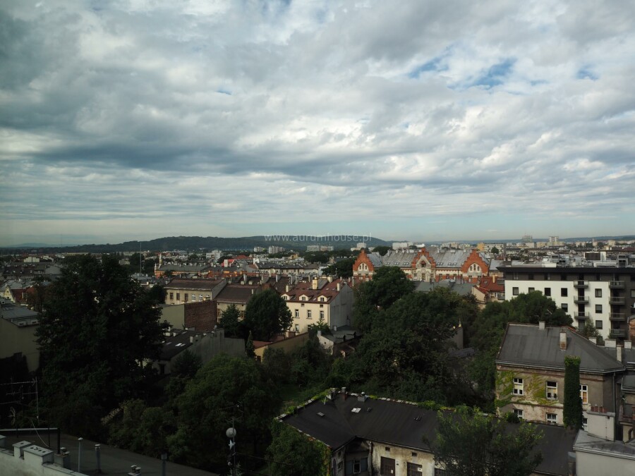 Kraków, Śródmieście, Stare Miasto, Szlak, Lokal na wynajem