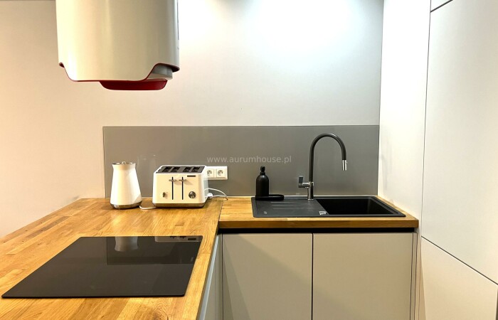 Małopolskie, Kraków, Apartament for rent