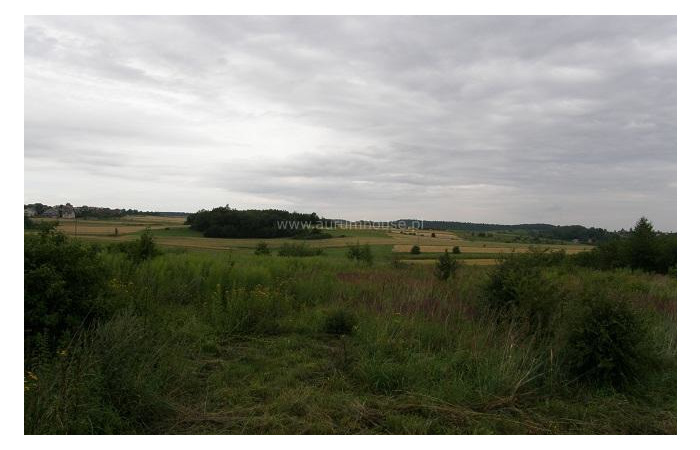 Małopolskie, krakowski, Plot for sale