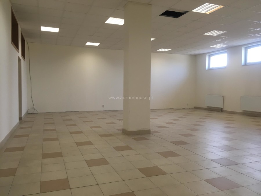 Kraków, Podgórze, Rybitwy, Pułkownika Dąbka, Commercial for rent