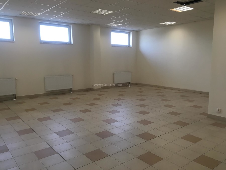 Kraków, Podgórze, Rybitwy, Pułkownika Dąbka, Commercial for rent